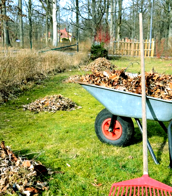 End of lease Tidy-up