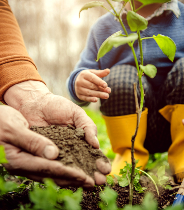 Horticultural Advice