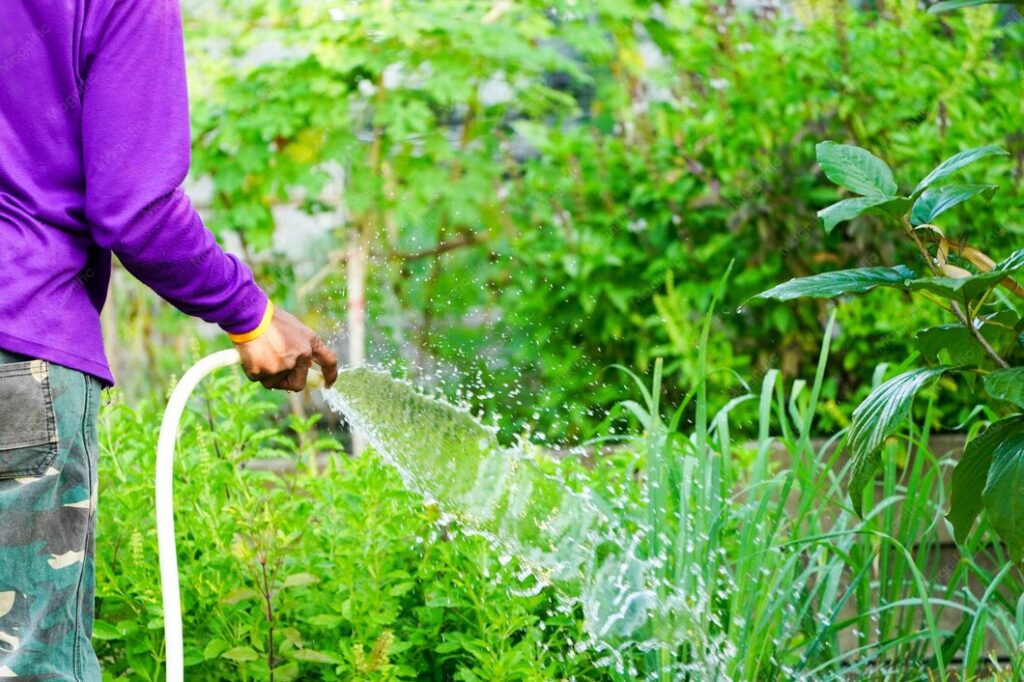 Feeding and Watering Programs