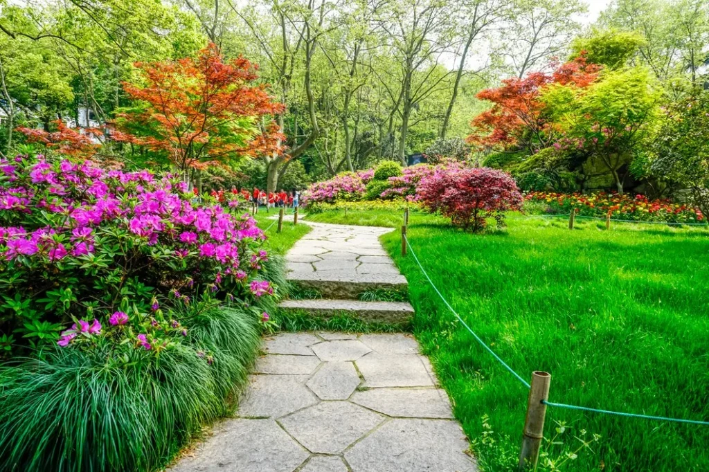 Landscaping