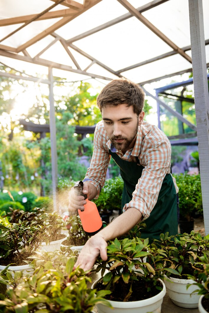 Garden Care Services Gundaroo