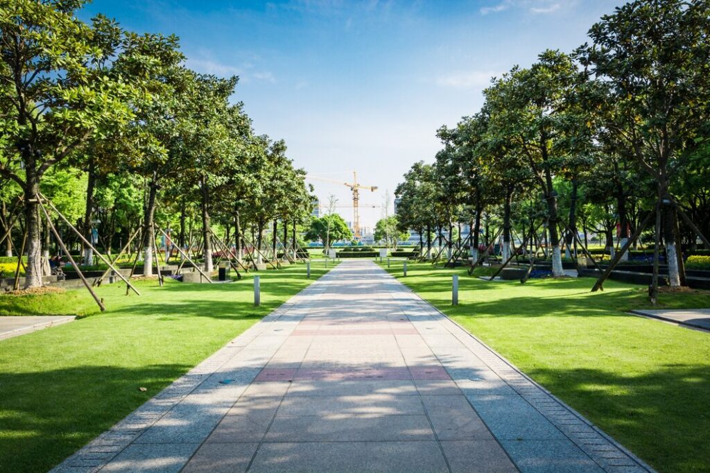 Landscaping Contractor Canberra