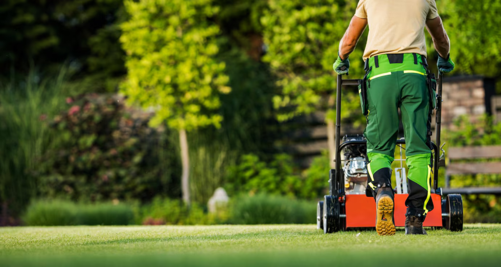 Affordable Lawn Care Canberra – The Smart Choice for Your Garden