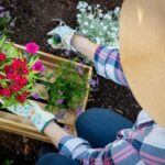Prepare Your Garden For Spring