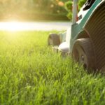 Best Lawn and Care Services in Canberra for You
