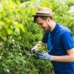 A Guide to Prune Flowering Plants for Canberra Gardens