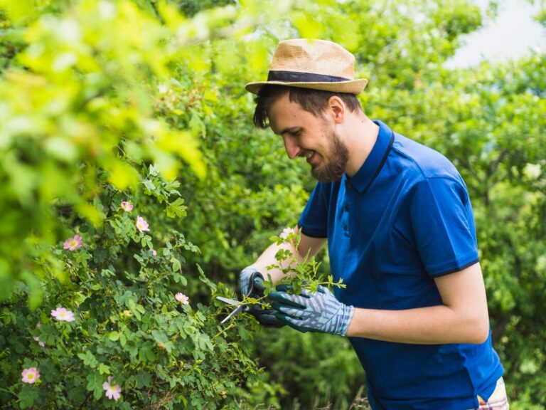 a guide to prune flowering plants