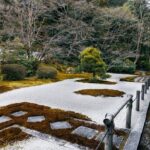 Prepare Your Garden For Winter: A Glenn Scape Horticulture Guide