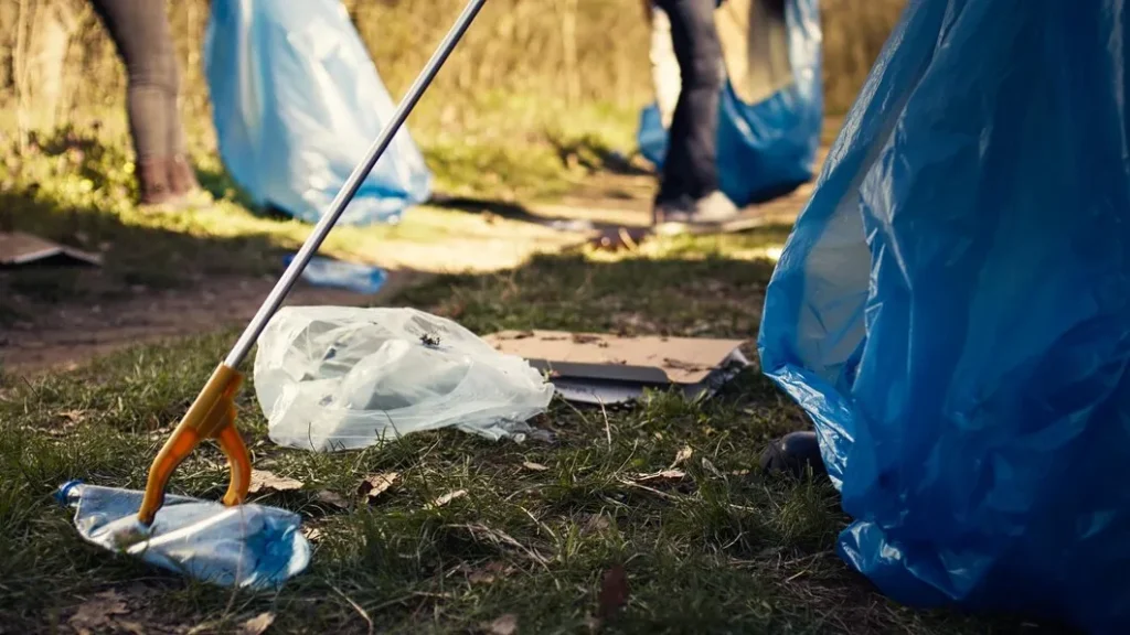 End Of Lease Yard Clean Up – All You Need To Know