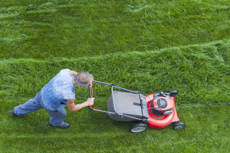 Cheap Lawn Mowing Services Canberra