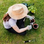 Why You Need Lawn Care And Maintenance Services Today