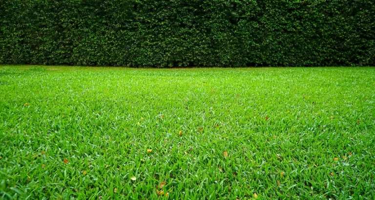 What is the 150 rule for grass?