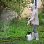Pest Control Nicholls