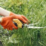 Spring Lawn Treatment Guide For Your Garden